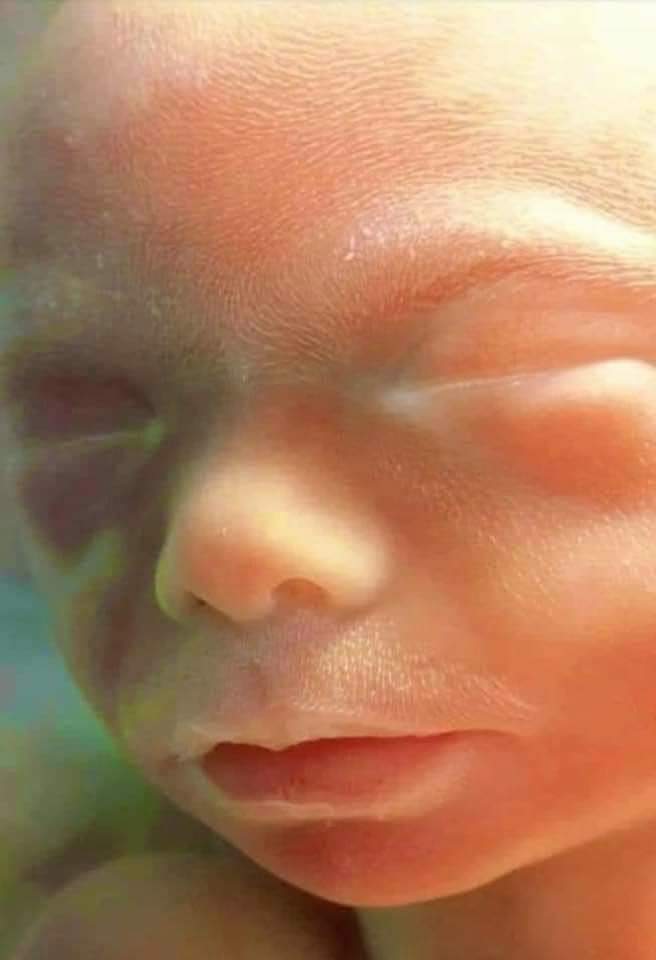 20 week old baby: every minute detail is there