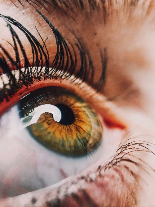 Taken over father has eye of Horus