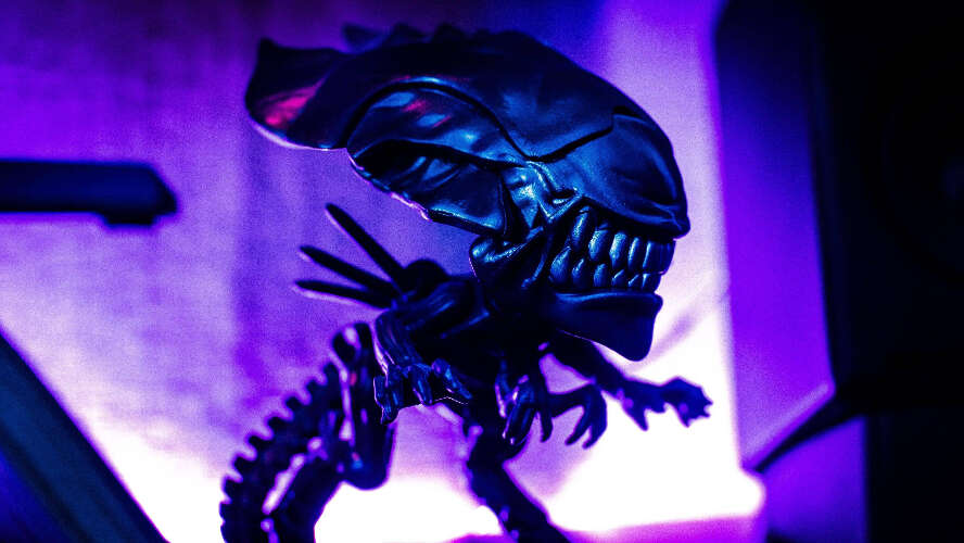 Daily Wire jokes about aliens and body snatchers
