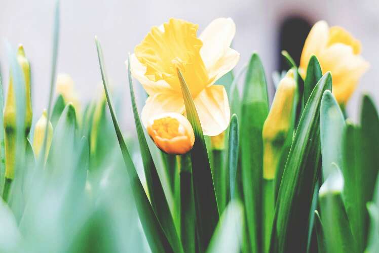 Easter, here again...