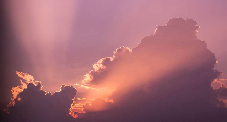 God renews all things!