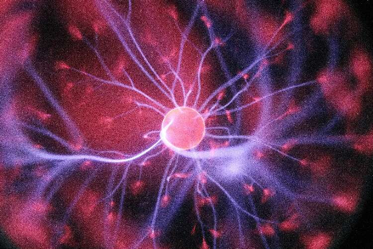 Consciousness and the brain