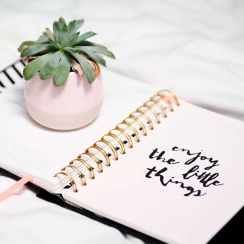 Diary post