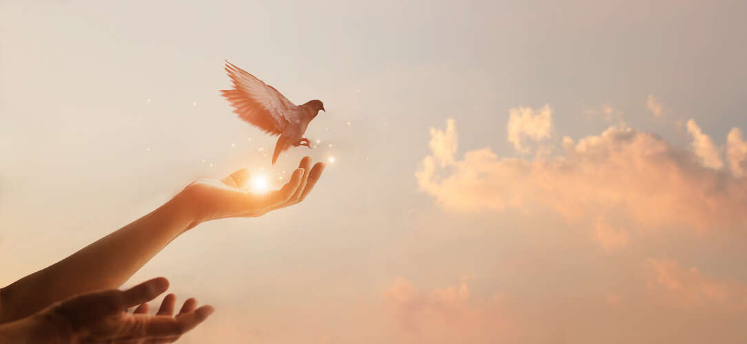 The beginning of peace with the world