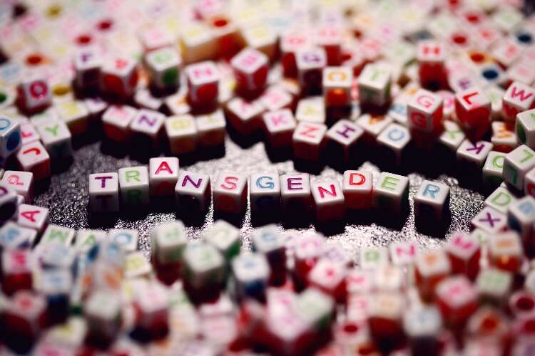 Transgender ideology: dangerous nonsense