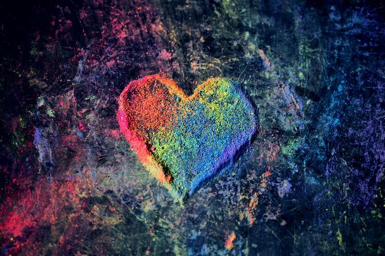 An intense new love