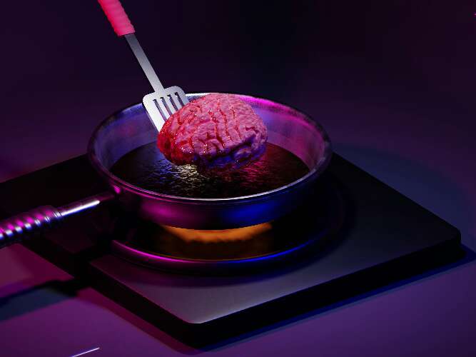 Misconceptions about the brain